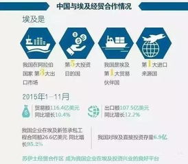 埃及進入國家緊急狀態 商務部發布警示，外貿貨代企業需加強風險防范